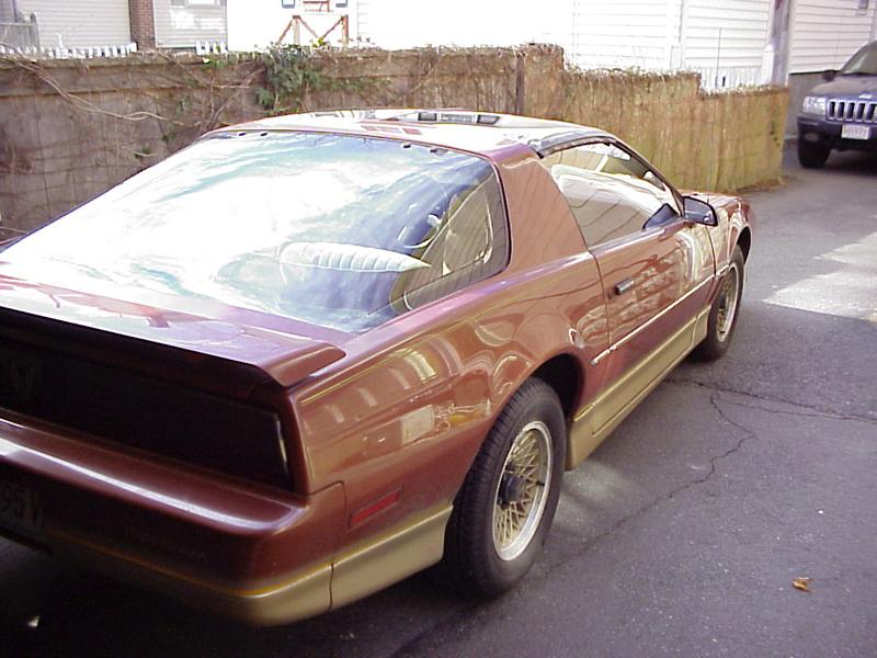 Rear view of the Trans Am